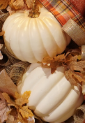 Neutral colored Fall Pumpkin wreath with large Cream pumpkins and Fall ribbons