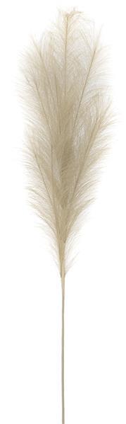 Pompas grass boho style spray 38 inch