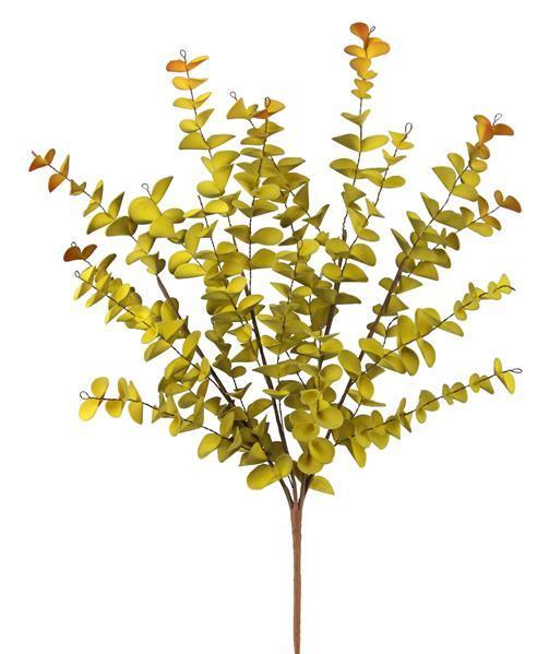 Eucalyptus bush moss mustard yellow 23 inch