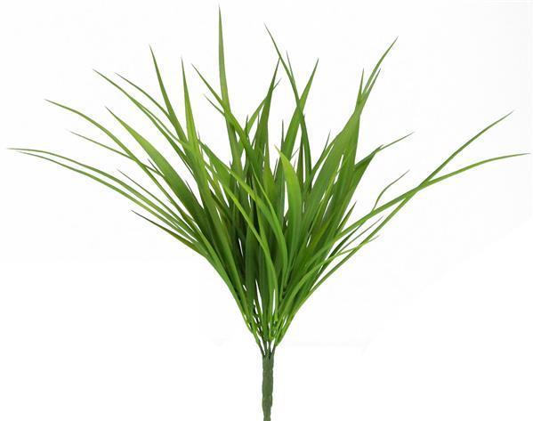 Wide grass filler bush 16 inch green